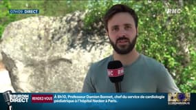 Déconfinement: la forêt de Fontainebleau prise d'assaut par les Franciliens