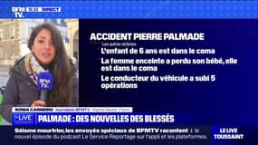 Accident de Pierre Palmade: deux blessés sont toujours dans le coma ce lundi matin