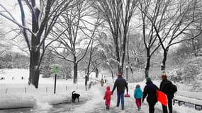 Vue de Central Park, à New York. Le nord-est des Etats-Unis est paralysé samedi par une tempête de neige qui a déjà provoqué la mort de quatre personnes, privé 700.000 foyers d'électricité et entraîné l'annulation de 2.200 vols. /Photo prise le 9 février