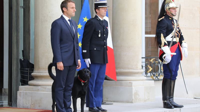 Emmanuel Macron et son chien Nemo, le 28 août 2017, à l'Elysée. 