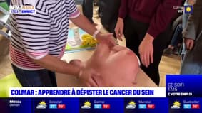 Octobre rose: à Colmar, les jeunes apprennent à dépister le cancer du sein