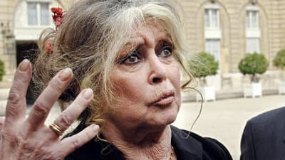 Face au "mépris" du gouvernement, Brigitte Bardot pousse un nouveau "coup de gueule".