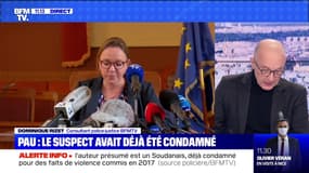 Pau: le suspect a donné les premières explications de son geste - 20/02