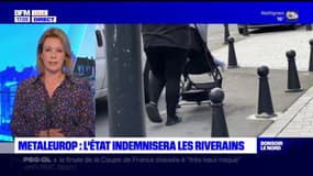 Metaleurop: l'État indemnisera les riverains