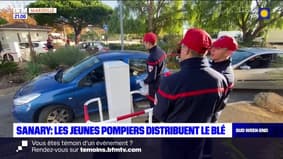 Sanary-sur-Mer: les jeunes pompiers ont distribué du blé aux habitants