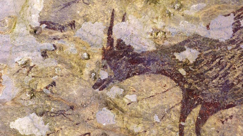 L'une des peintures découverte dans la grotte indonésienne