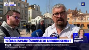 Lyon: 15 érables plantés dans le 8e arrondissement