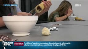 "Combattre cette inégalité aux racines", Christelle Dubos, secrétaire d'Etat, défend la mise en place de petits-déjeuners gratuits 