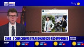 Strasbourg: deux chimistes du CNRS récompensés