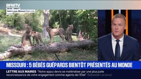 Le break du 18 septembre