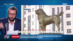 "Les 3 histoire de Charles Magnien" : Le chien en or du  président du Turkménistan, l'Italien de 81 ans qui joue de l'accordéon sous la chambre d'hôpital de sa femme, et la techno reconnue comme de la musique - 13/11