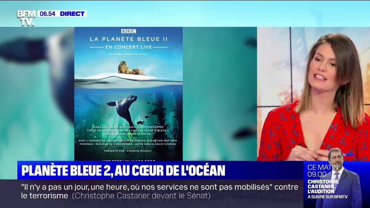 Le documentaire Le documentaire