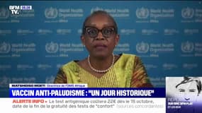 Le vaccin anti-paludisme, pour les enfants, va être déployé à grande échelle en Afrique subsaharienne et dans les zones à risque