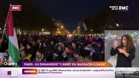 Paris: ils demandent "l'arrêt du massacre à Gaza"