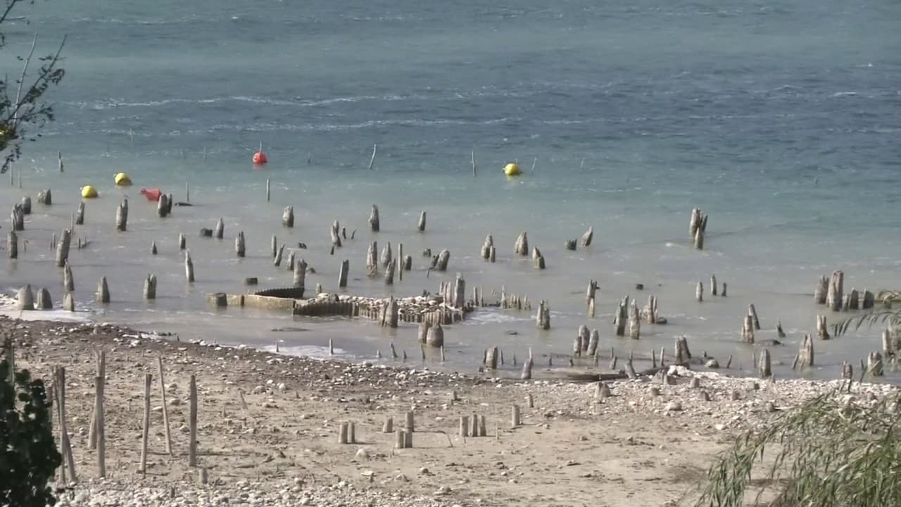 sortir de l'eau en 7 lettres