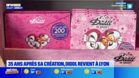 35 ans après sa création, Diddl revient à Lyon !