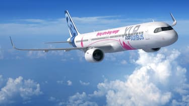 Cette ligne d'assemblage à Toulouse s'ajoutera à celle dédiée aux A321 située à Hambourg. Elle sera opérationnelle "d'ici mi-2022" et installée dans l'actuel site dédié à la fabrication du géant des airs A380.