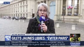 Manifestations de samedi: Jacline Mouraud appelle à être "réfléchi, raisonnable et sage"