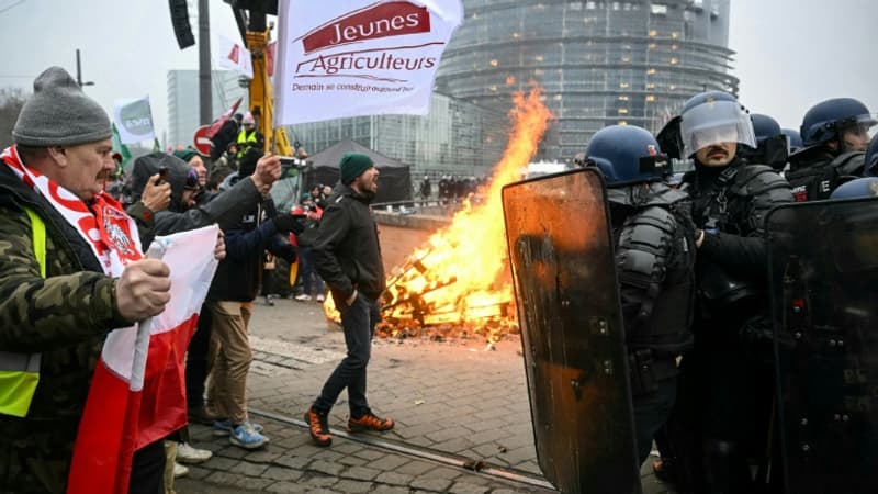 Mercosur: avant le vote au Parlement européen ce mercredi, les agriculteurs "jouent leur avenir"