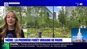 Paris: la première forêt urbaine inaugurée dans le 14e arrondissement