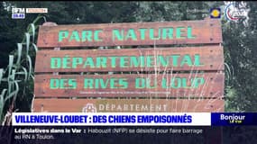 Var: l'été est-il enfin arrivé?