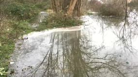 Le lac de Montalbot dans l'Essonne est pollué à cause d'une rupture de canalisation d'eaux usées.