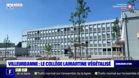 Villeurbanne: le collège Lamartine végétalisé