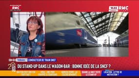 Bientôt du stand-up dans le TGV ?: "Celui qui a eu cette idée il faut le virer"