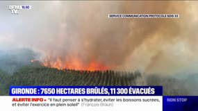 Incendies en Gironde: 7650 hectares brûlés, 11.300 personnes évacuées