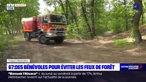 Bas-Rhin: un réseau de bénévoles pour éviter les feux de forêt