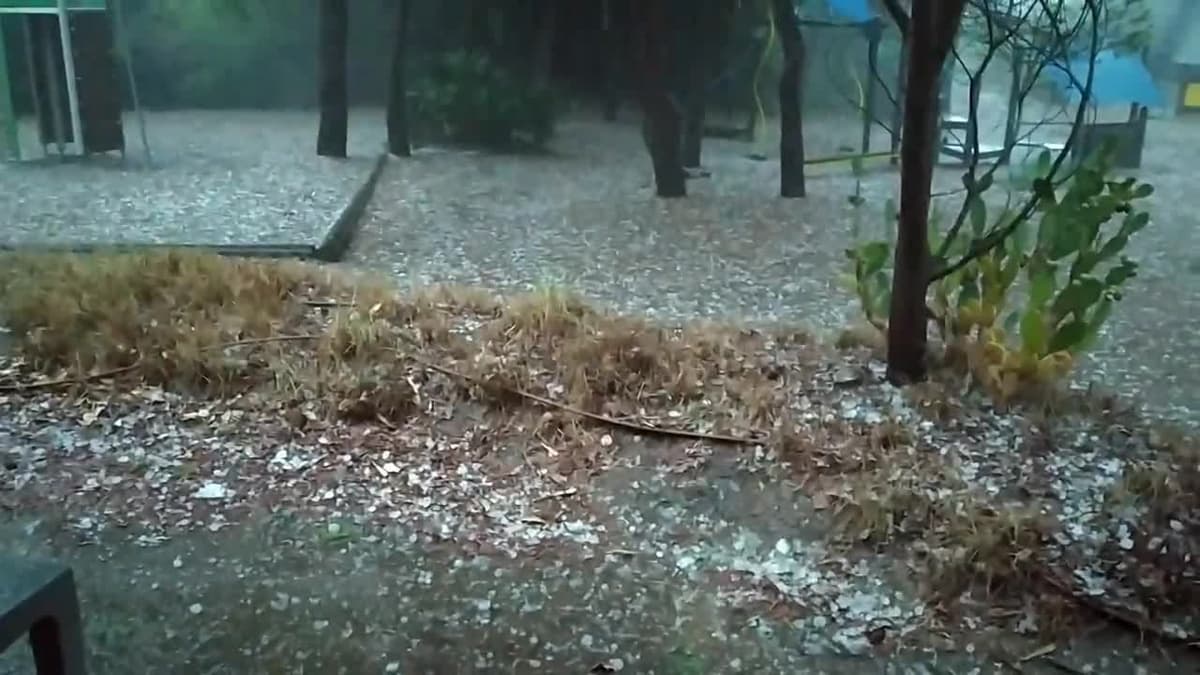 placeholder video