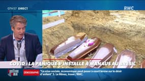 Nicolas Poincaré : La panique s'installe à Manaus, au Brésil - 20/10