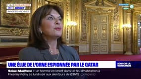 Orne: la sénatrice Nathalie Goulet espionnée par le Qatar 