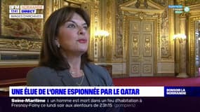 Orne: la sénatrice Nathalie Goulet espionnée par le Qatar 