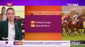 Le projet de loi immigration en balance à l'Assemblée