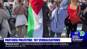 Lyon: entre 200 et 400 manifestants pour soutenir la Palestine, malgré l'interdiction de la préfecture