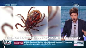 Dupin Quotidien : Comment se protéger ou se débarrasser des tiques ? - 15/07