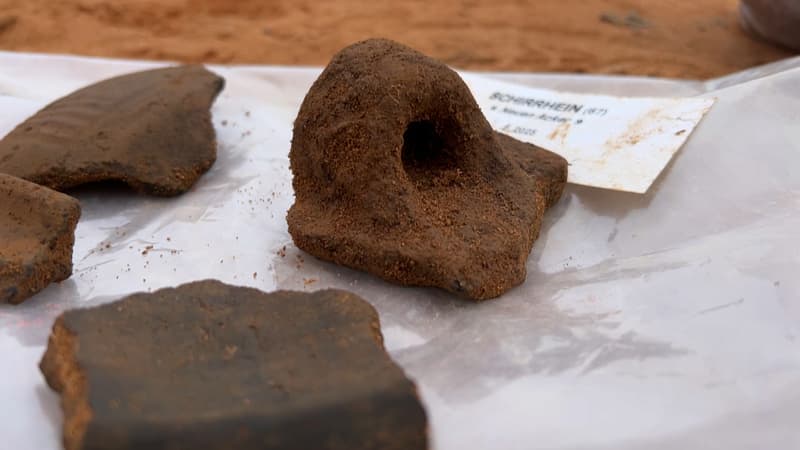 Bas-Rhin: des vestiges de l'âge du Bronze découverts à Schirrhein lors de fouilles archéologiques