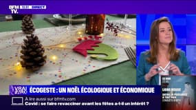 L'ÉCOGESTE - Un Noël écologique, économique et magique!