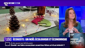 L'ÉCOGESTE - Un Noël écologique, économique et magique!