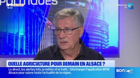 Chambre d'agriculture d'Alsace : Le débat