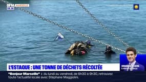 Marseille: une tonne de déchets récoltés au port de l'Estaque 