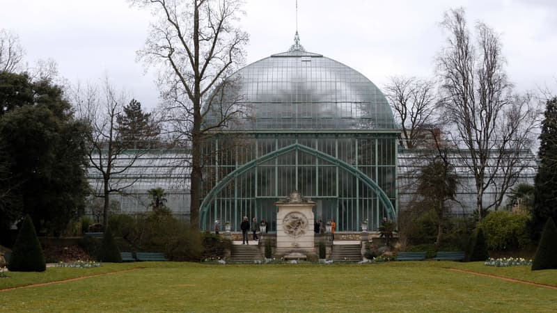 Les serres d'Auteuil, au bois de Boulogne