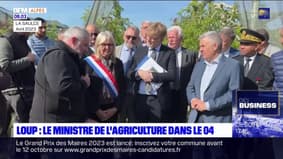 Plan loup: le ministre de l'agriculture en visite dans les Alpes-de-Haute-Provence