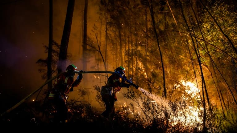 Les pompiers luttent contre un "méga-feu" près de Bessèges (Gard), le 7 juillet 2022