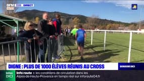 Digne-les-Bains: le cross réunit plus de 1000 élèves