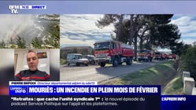 Bouches-du-Rhône: 130 hectares parcourus par un incendie à Mouriès