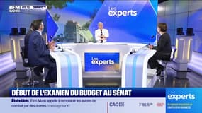 Les Experts : Début de l'examen du budget au Sénat - 26/11