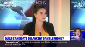 Législatives anticipées: quels candidats en course dans le Rhône?