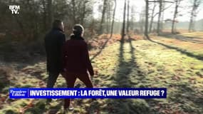 Investissement : la forêt, une valeur refuge ? - 27/01